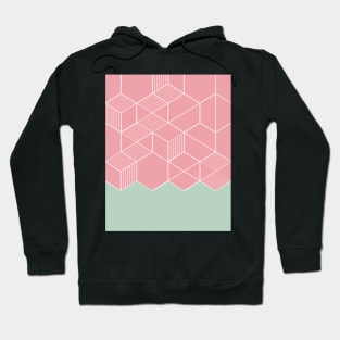 SORBETECORAL Hoodie